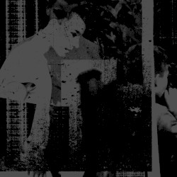 Vertical of Thieves