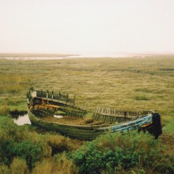 Of the Sea and Shore