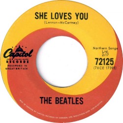 She Loves You / I’ll Get You