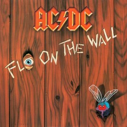 Fly on the Wall