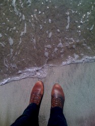 Here I Am/A Rose Is a Rose