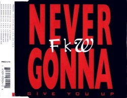 Never Gonna (Give You Up)