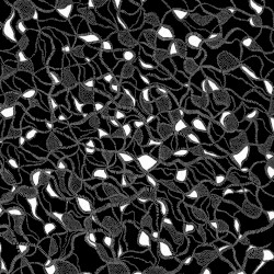 Gary War / Purple Pilgrims