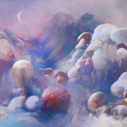 snow mushrooms