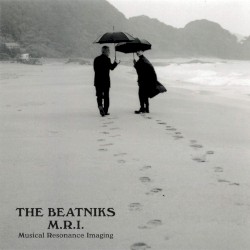 M.R.I. Musical Resonance Imaging