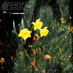 Geek