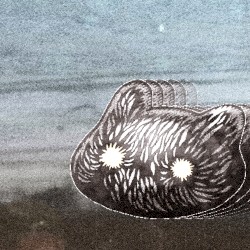 feel free to watch me delicately decay