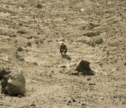 A Boat to an Island on the Wall