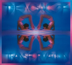 The Mosaic of Transformation