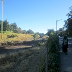 Going to the Optometrist With My Mom in Hercules