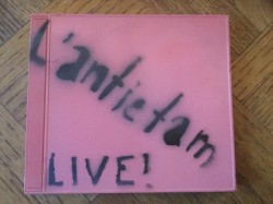 Live At The Fallout Shelter