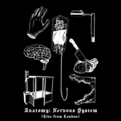 ANATOMY: Nervous System (Live from London)