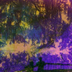 Silhouette, And The Stars Emerging