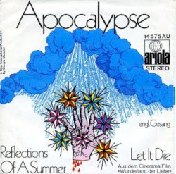 Reflections of a Summer