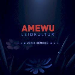 Leidkultur (Zenit Remixes)