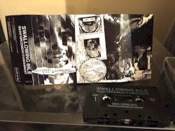 Swallowing Bile & Reinforcement:Punishment