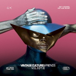 Vintage Culture & Friends, Vol. 6 (Pt. I)