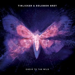 Choir to the Wild (extended mix)