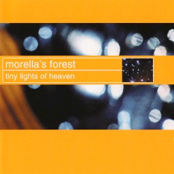 Tiny Lights of Heaven