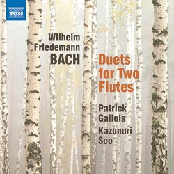 Duets for Two Flutes
