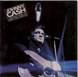 I Would Like to See You Again