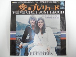 We've Only Just Begun / I'll Never Fall in Love Again