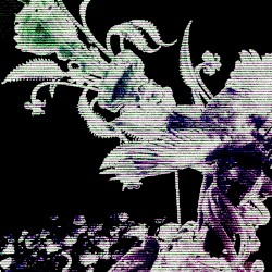 𝙒𝙞𝙨𝙝𝙞𝙣𝙜 𝙆𝙞𝙡𝙡𝙨