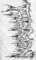 Beyond the Darkest Veils of Inner Wickedness