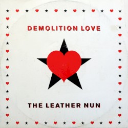 Demolition Love