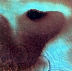 Meddle