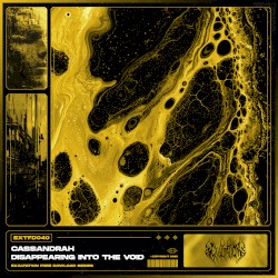 Disappearing Into the Void