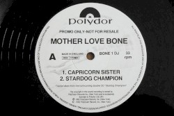 Capricorn Sister