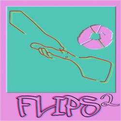 Flips 2