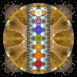 Love Reigns Eternal: The Venus Transit