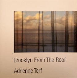 Brooklyn from the Roof