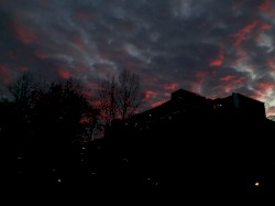 796f75206b6e6f772074686520747275746820