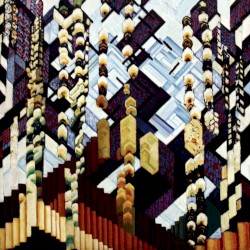 A Small Fire in the Snowy Woods