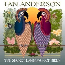 The Secret Language of Birds