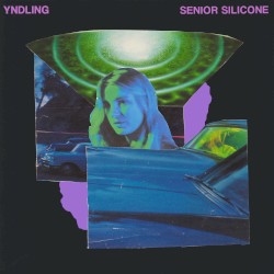 Fringe (Senior Silicone Remix)