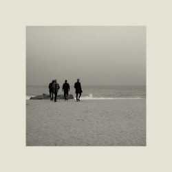 Looking for Some Light