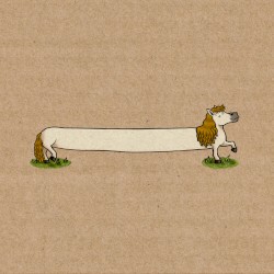 The Longest Pony