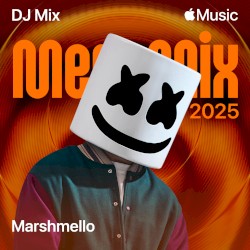 2025 MegaMix (DJ Mix)