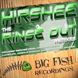 The Rinse Out Remixes