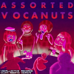 Assorted Vocanuts