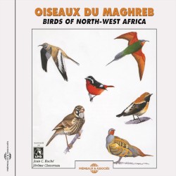 Oiseaux du Maghreb / Birds of North‐West Africa