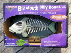 Big Mouth Billy Bones
