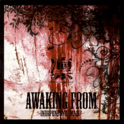 AWAKING FROM -INDEPENDENT “MAZE”-