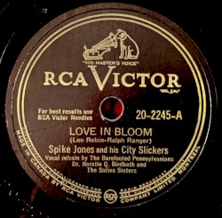 Love in Bloom / Blowing Bubble Gum