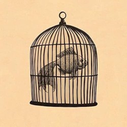 Fish in a Birdcage EP