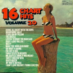 16 Chart Hits, Volume 20